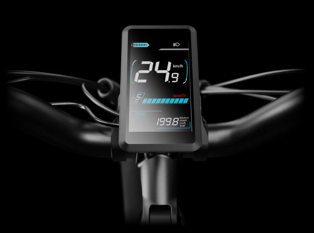 Color Smart LCD Display