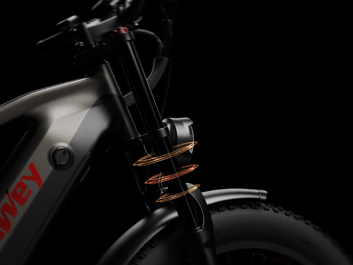 Dual-Crown Suspension Fork
