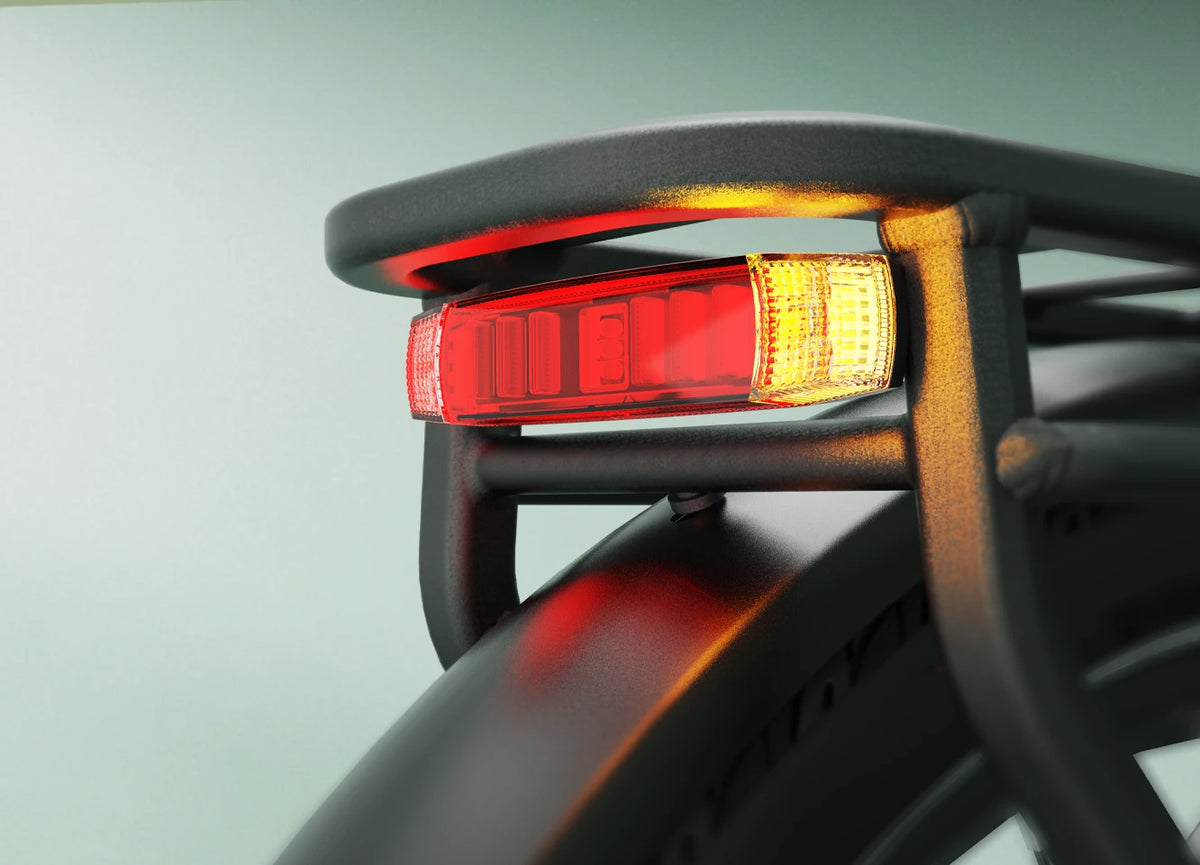 Luz trasera con intermitentes